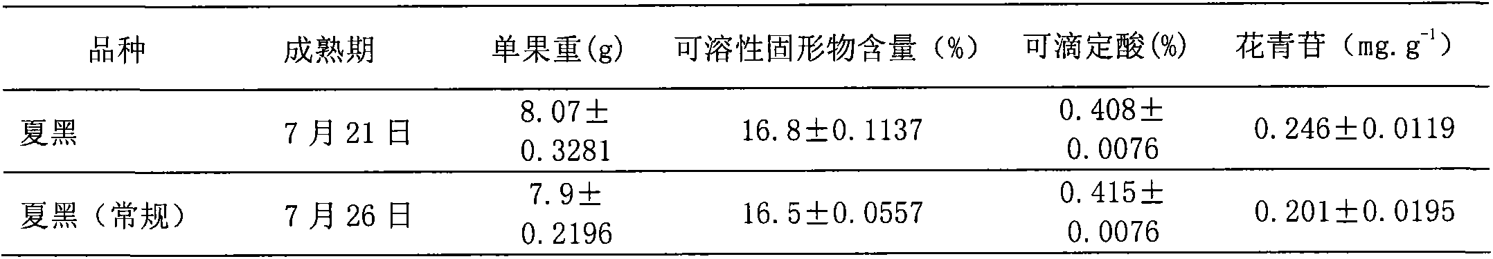 Summer black grape single-trunk dual-main-branch shaping and two-bud trimming cultivation method