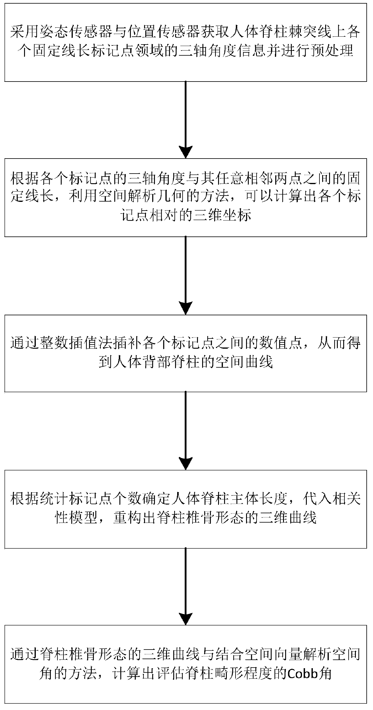 Method for measuring lateral bending angle of human spine based on posture and position sensors