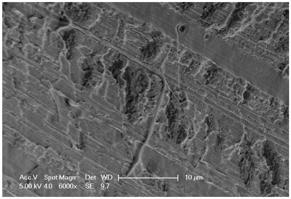 A kind of elastic short fiber toughened crystalline polymer product and preparation method thereof