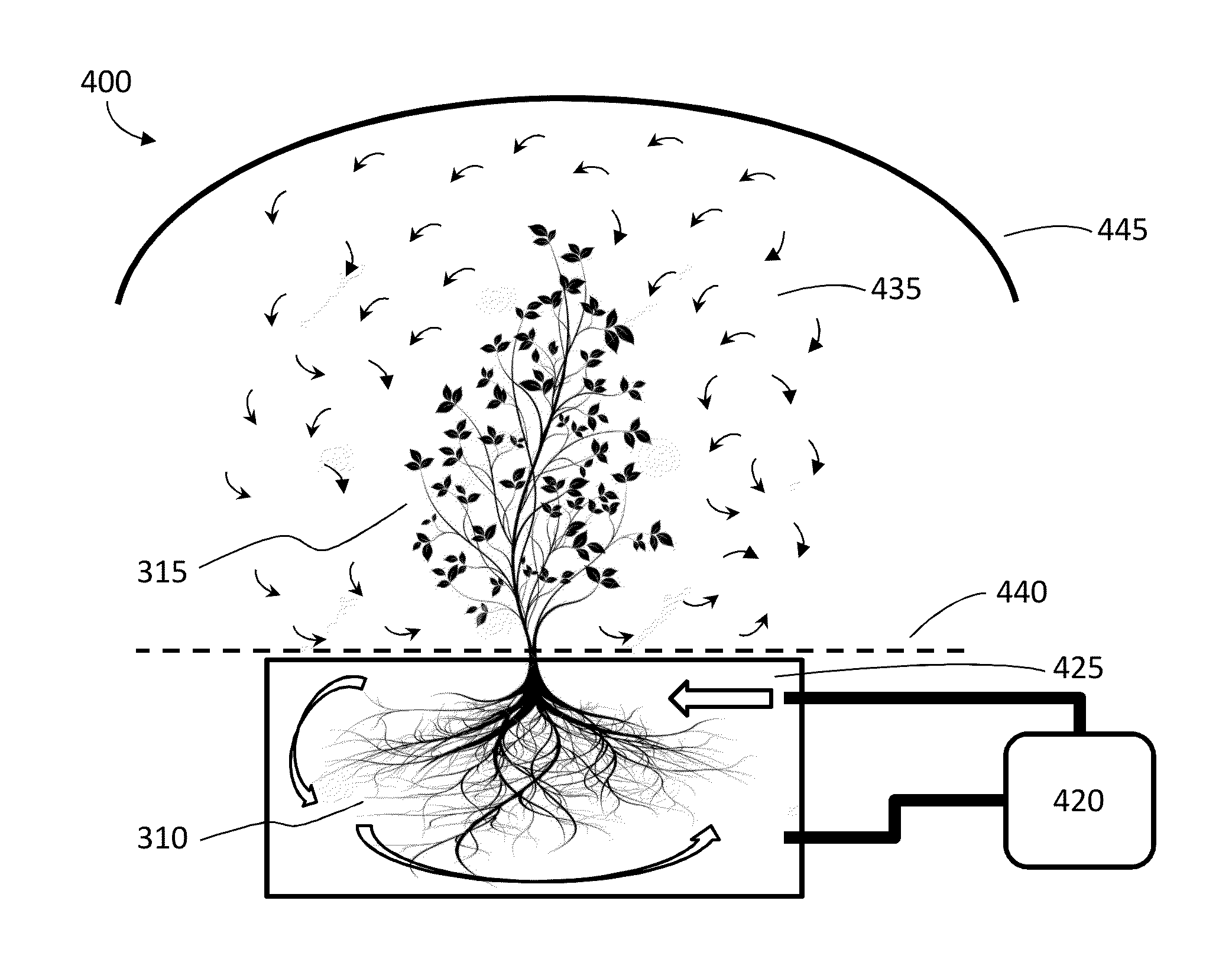 Method of improving the growth and production output of plants of the family cannabaceae sensu stricto