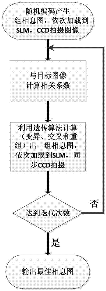 Scattering medium-penetrating laser speckle flow speed detection method and device thereof