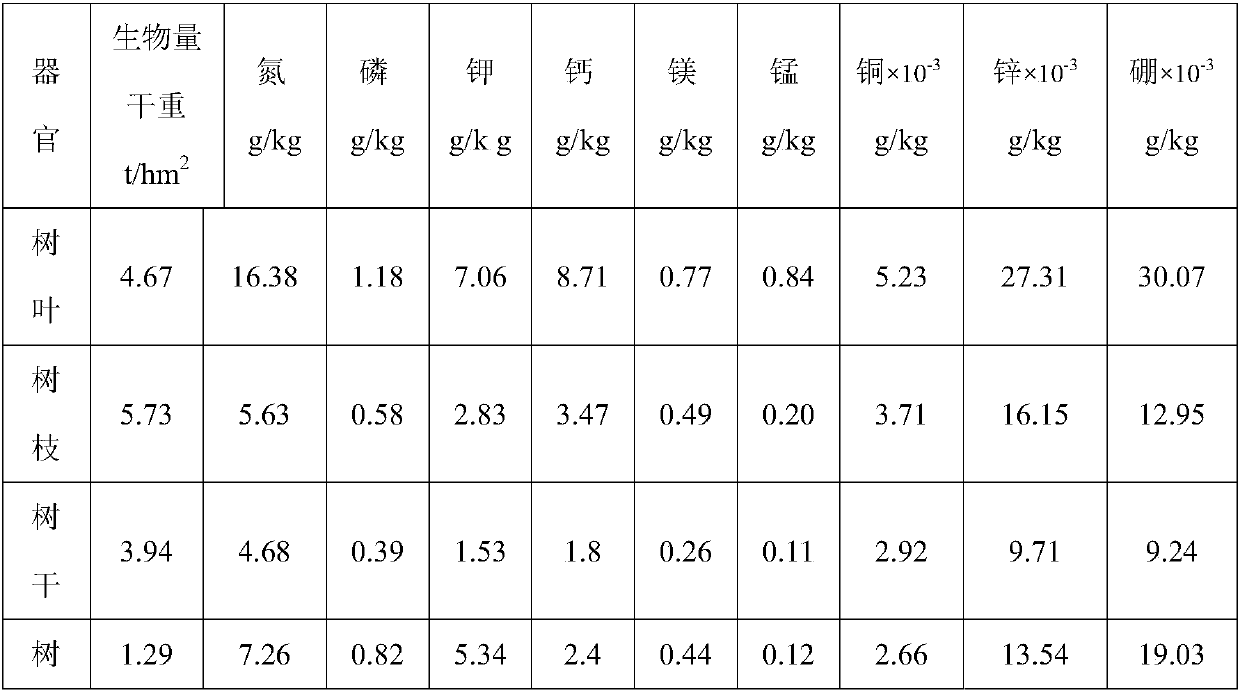 Pine tree controlled-release fertilizer for scientifically increasing yield and preparation technology thereof