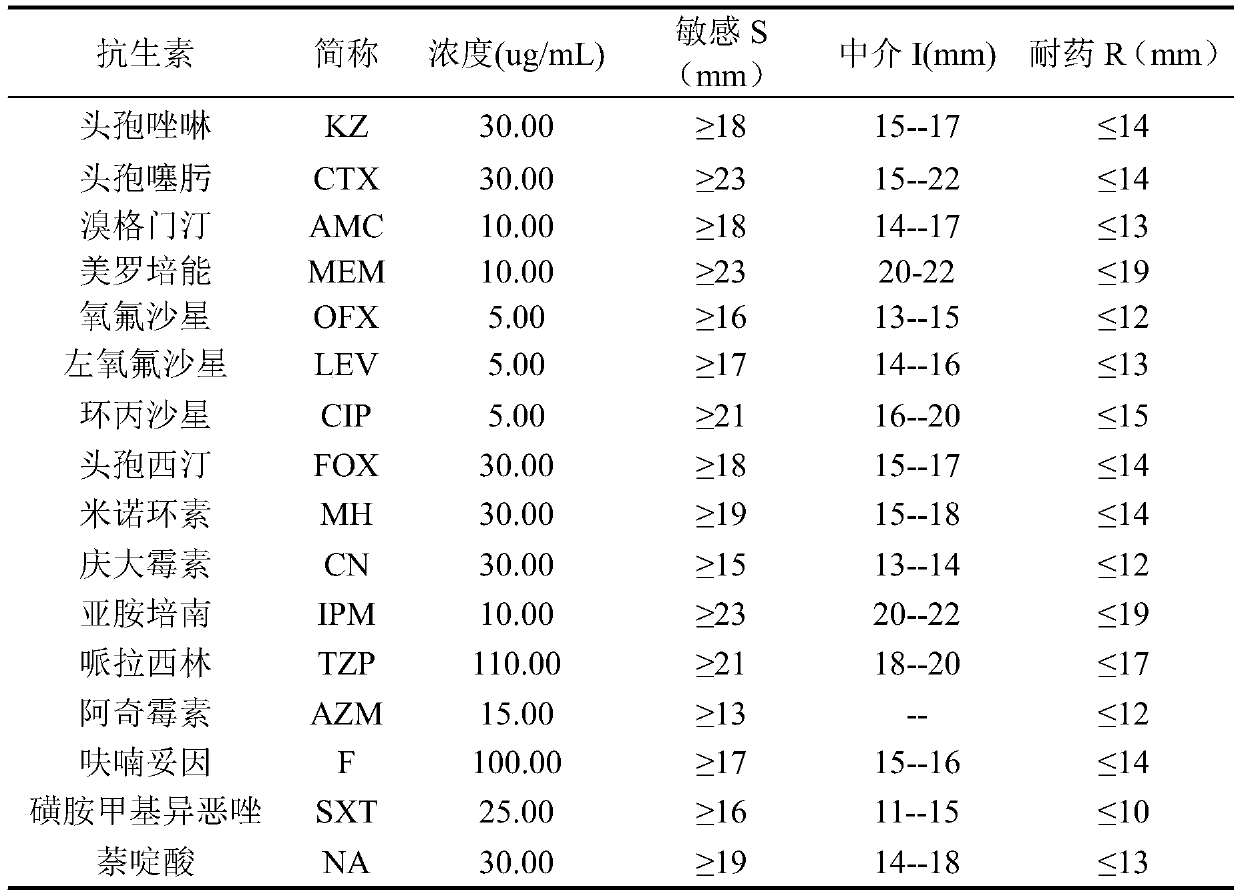 Application of ursolic acid in inhibiting growth of multi-drug-resistance enterobacter cloacae