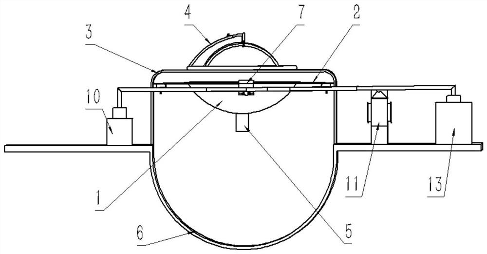 A trough for pigs that facilitates precise feeding and cleaning