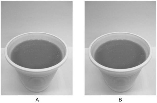 Grease composition capable of being used for preparing coffee mate and preparation method of grease composition