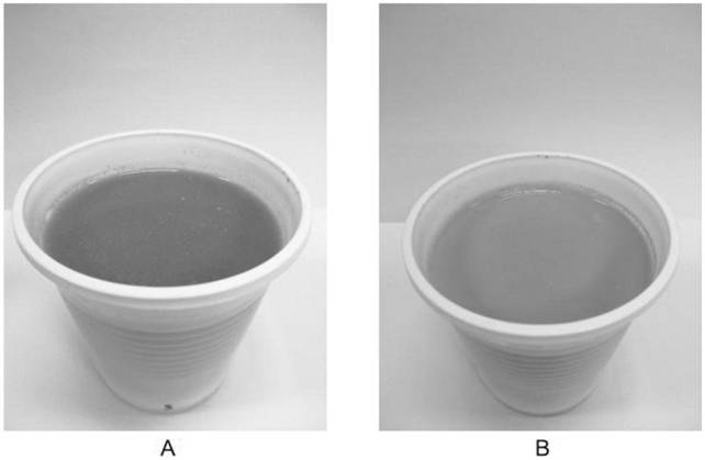 Grease composition capable of being used for preparing coffee mate and preparation method of grease composition