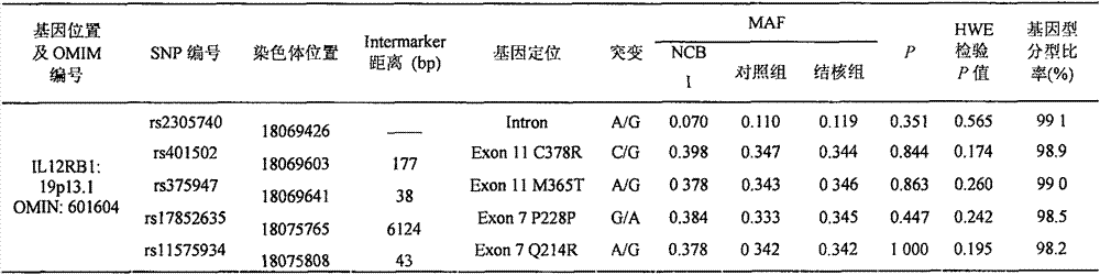 Application of IL12RB1 gene single nucleotide polymorphism (SNP) rs2305740 in detecting tuberculosis susceptibility