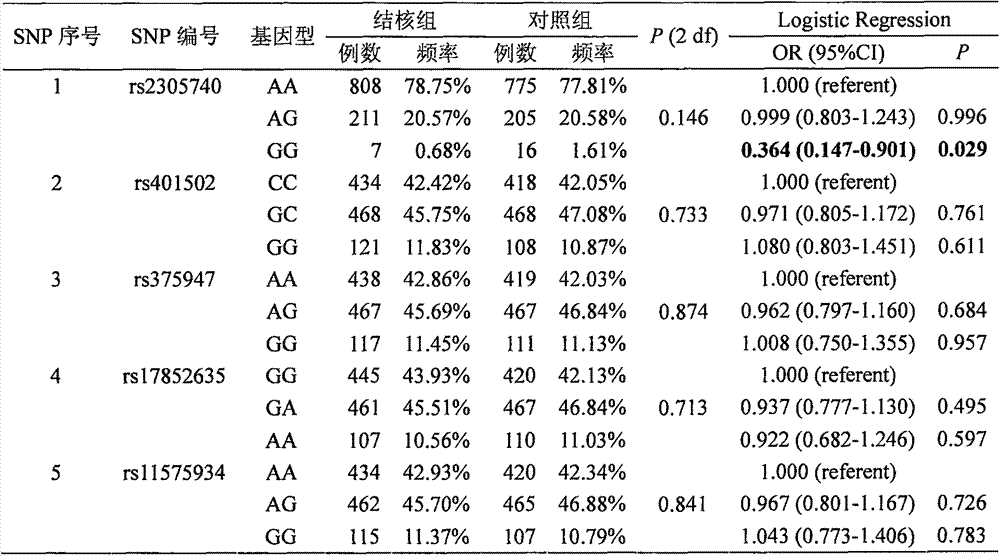 Application of IL12RB1 gene single nucleotide polymorphism (SNP) rs2305740 in detecting tuberculosis susceptibility