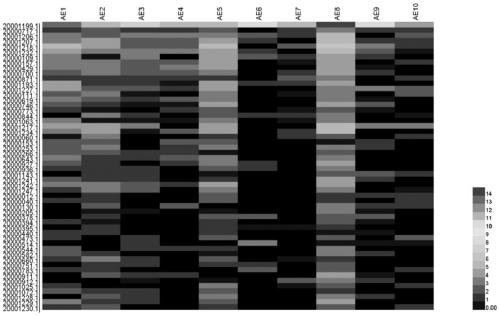 One-tube nested real-time quantitative PCR detection test kit for detecting alveolar echinocococosis and cystic echinococcosis by micro-sample typing