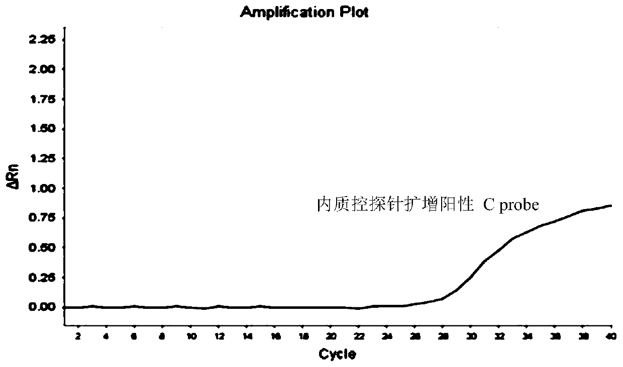 One-tube nested real-time quantitative PCR detection test kit for detecting alveolar echinocococosis and cystic echinococcosis by micro-sample typing