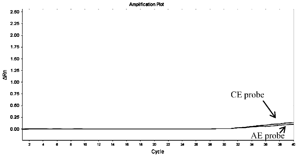 One-tube nested real-time quantitative PCR detection test kit for detecting alveolar echinocococosis and cystic echinococcosis by micro-sample typing