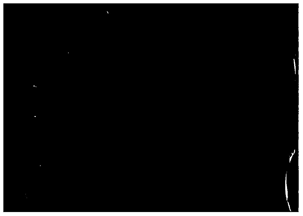 Coking method for coal-oil mixed pitch