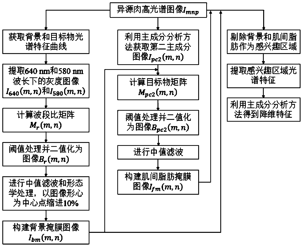 Method for improving meat source authenticity identification accuracy based on hyperspectral image processing