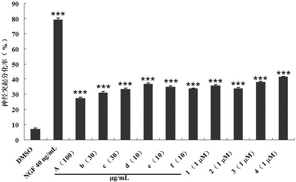 Preparation and anti-Alzheimer's disease uses of Ilex kudingcha C.J.Tseng leaf extract