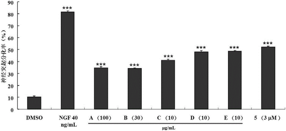 Preparation and anti-Alzheimer's disease uses of Ilex kudingcha C.J.Tseng leaf extract