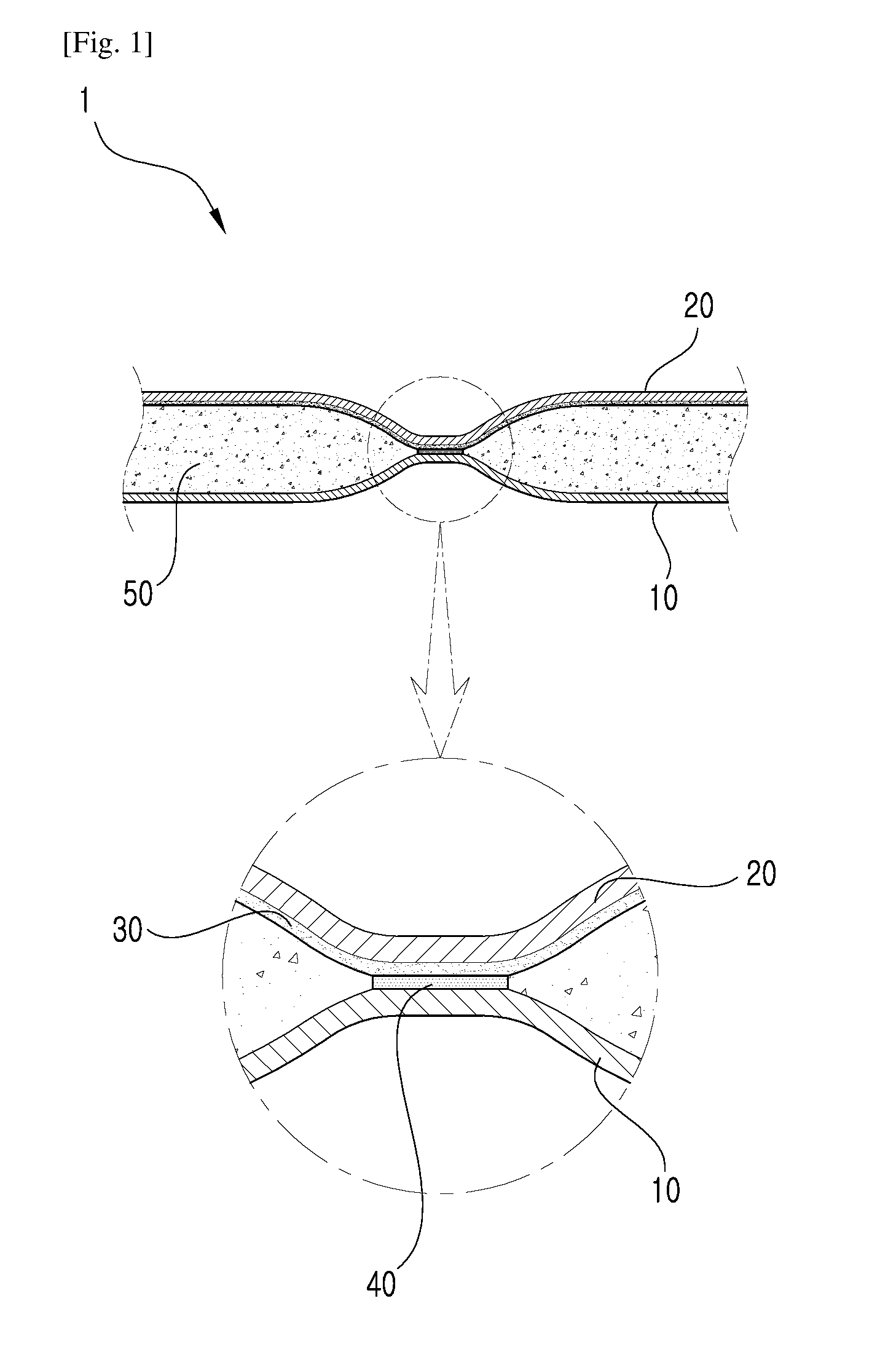 Down Jacket with Selectable Outer Shell