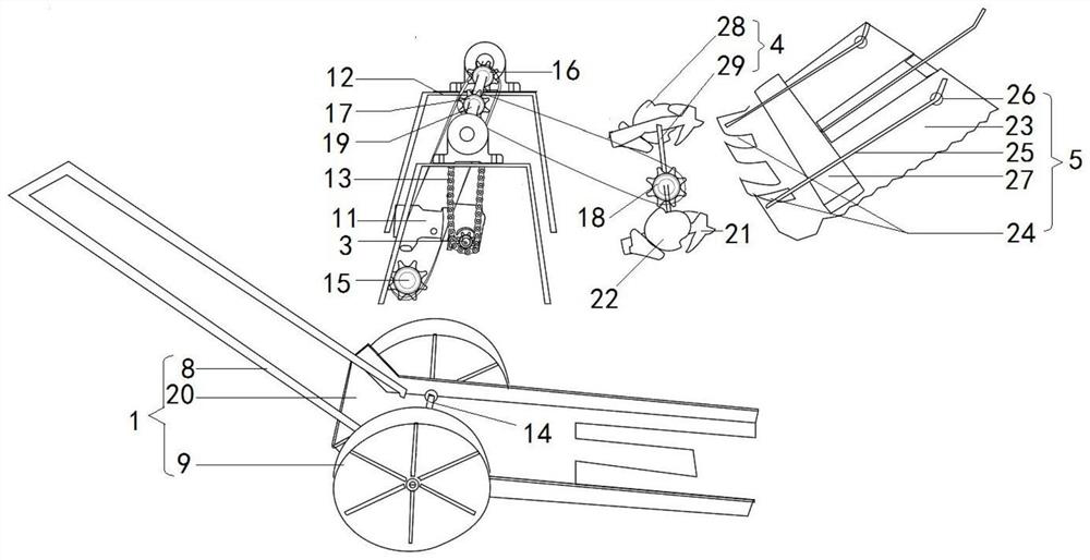 Seaweed plant transplanting device and transplanting method