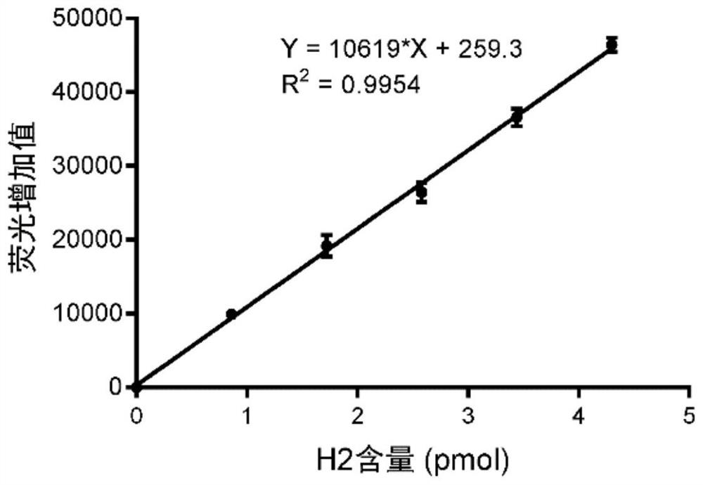 Method for rapidly assaying activity of DNA polymerase