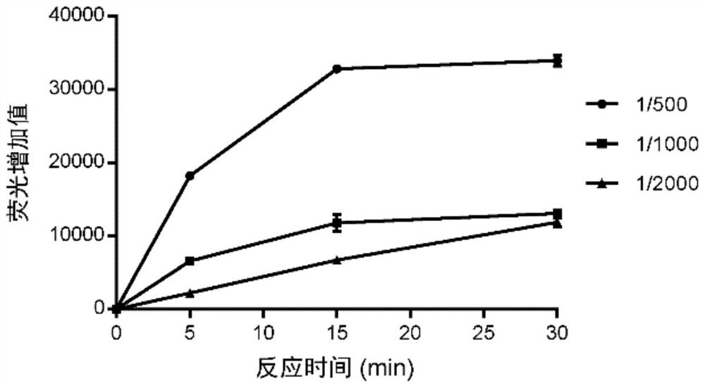 Method for rapidly assaying activity of DNA polymerase