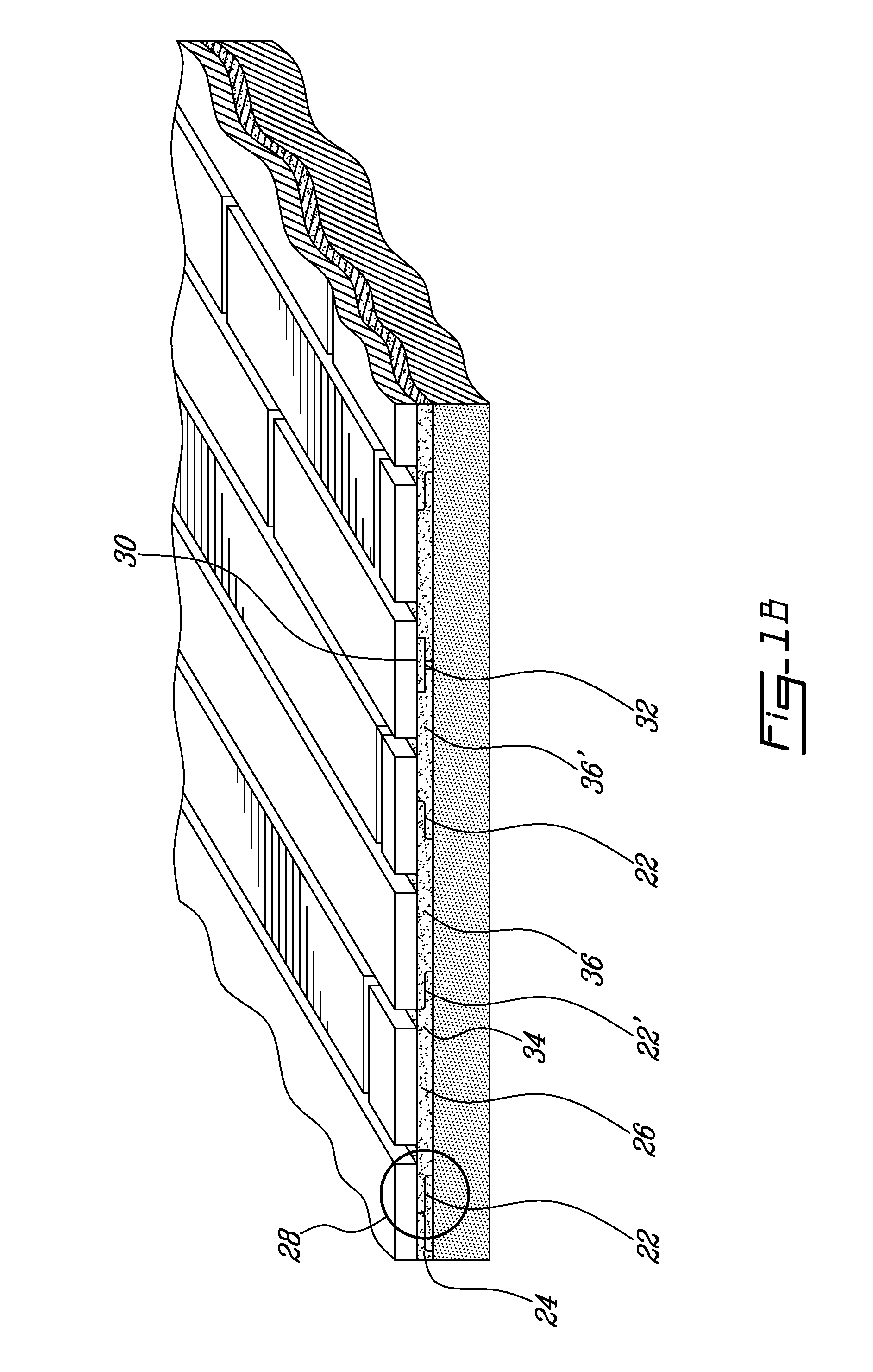 Moisture barrier underlayment with intermediate layer to accommodate expansion and contraction