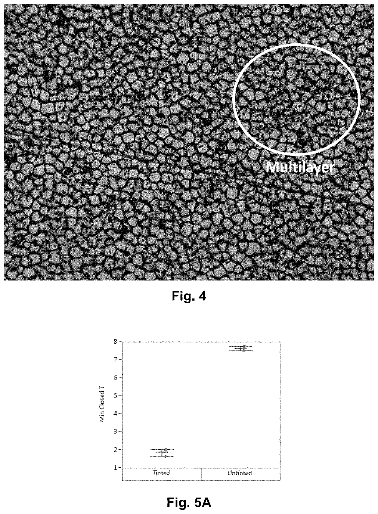 Variable transmission electrophoretic devices