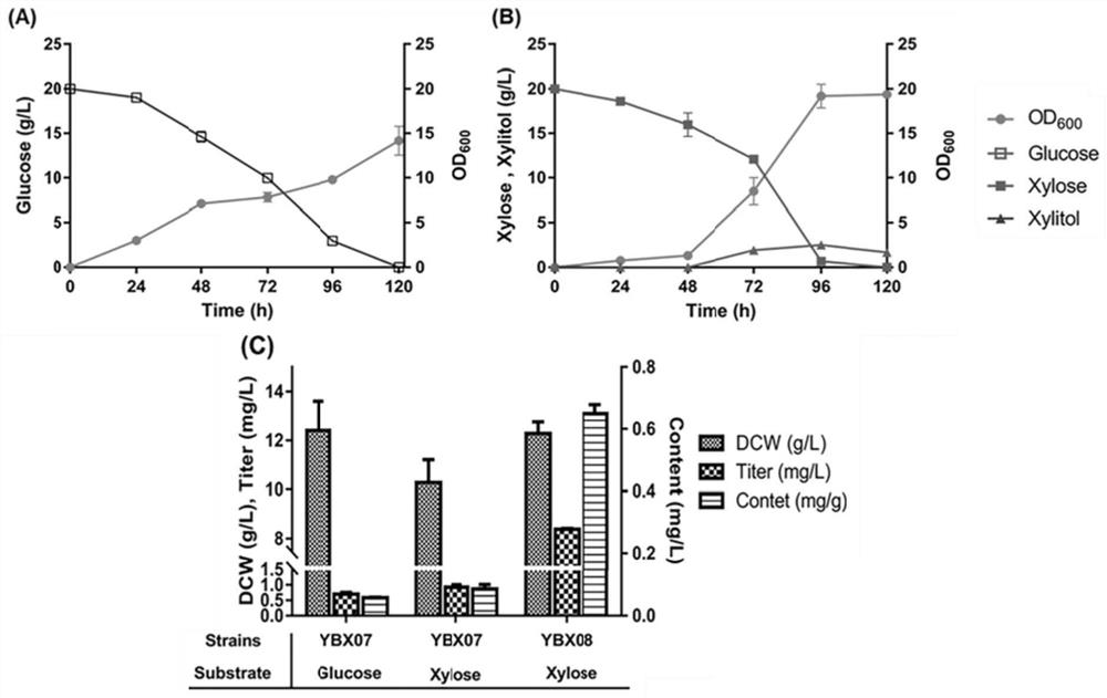 Yarrowia lipolytica genetically engineered bacterium for producing limonene and application of yarrowia lipolytica genetically engineered bacterium