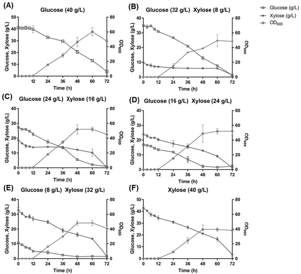 Yarrowia lipolytica genetically engineered bacterium for producing limonene and application of yarrowia lipolytica genetically engineered bacterium