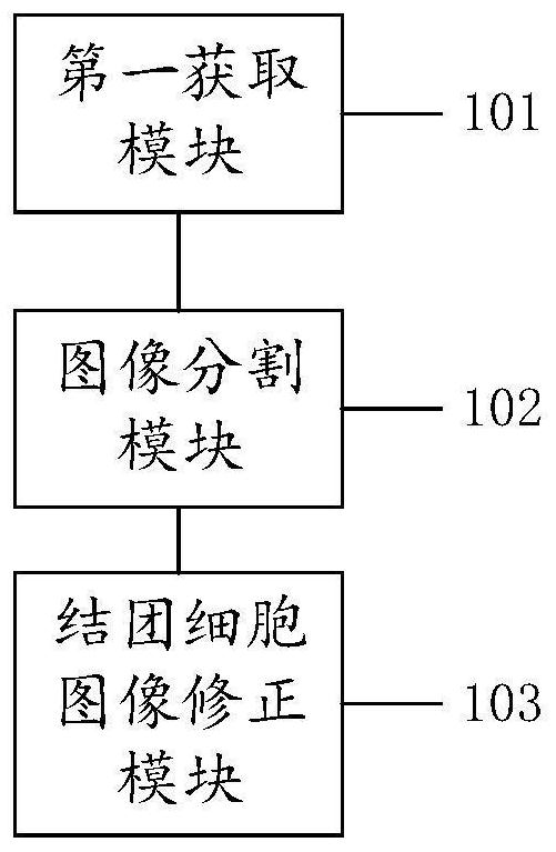 Cell image segmentation method and device and cell counting method