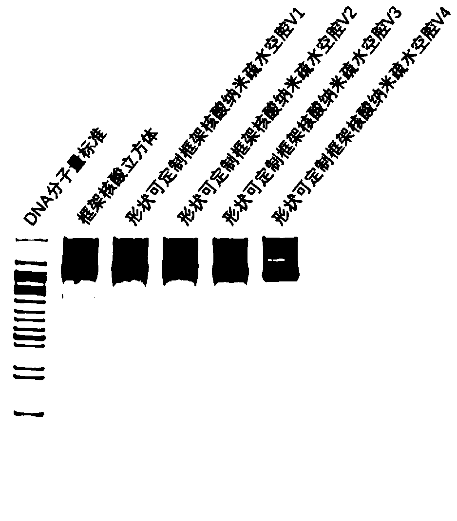 Frame nucleic acid nano luminous body with customizable shape and preparation method and application thereof