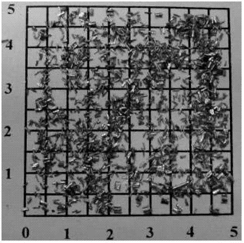 Leadless brass alloy and preparation method thereof