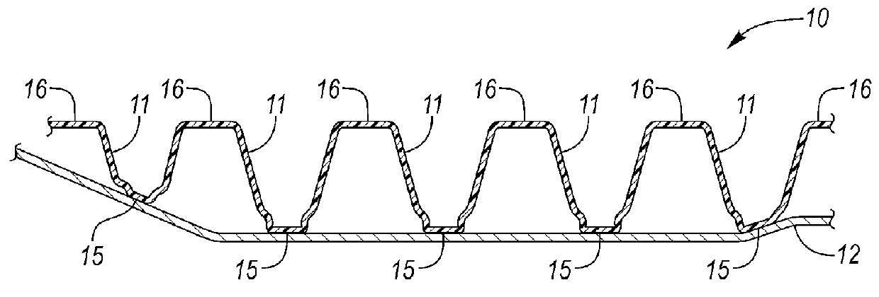 Energy absorber with anti-BSR countermeasure