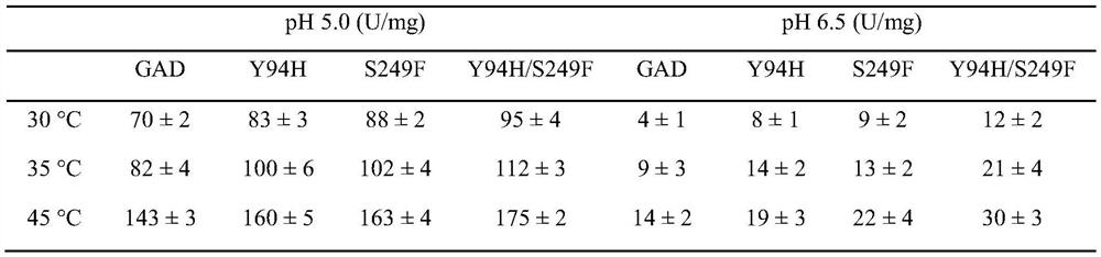 Glutamate decarboxylase mutant and application thereof in preparation of gamma-aminobutyric acid