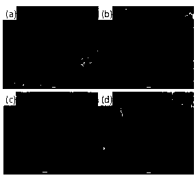 cds/(cal-ta  <sub>2</sub> o  <sub>5</sub> -sio  <sub>2</sub> ) preparation method of composite photocatalyst