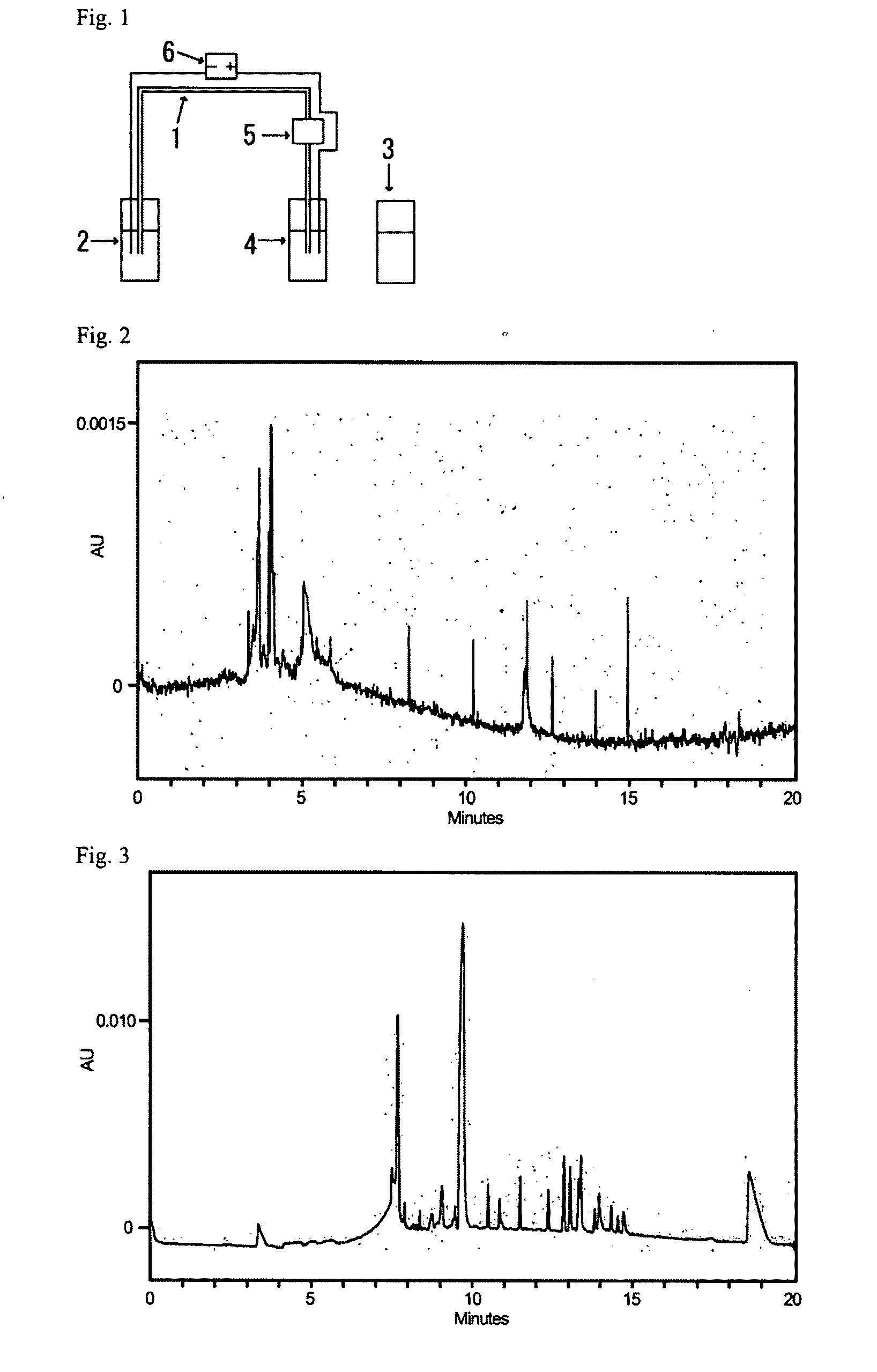 Separation Medium for Biochemical Analysis