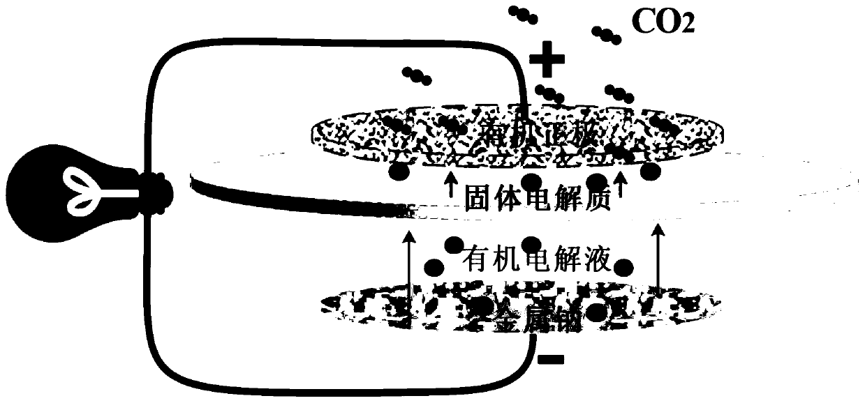 Organic anode used for sodium carbon dioxide battery and manufacturing method thereof, and sodium carbon dioxide battery