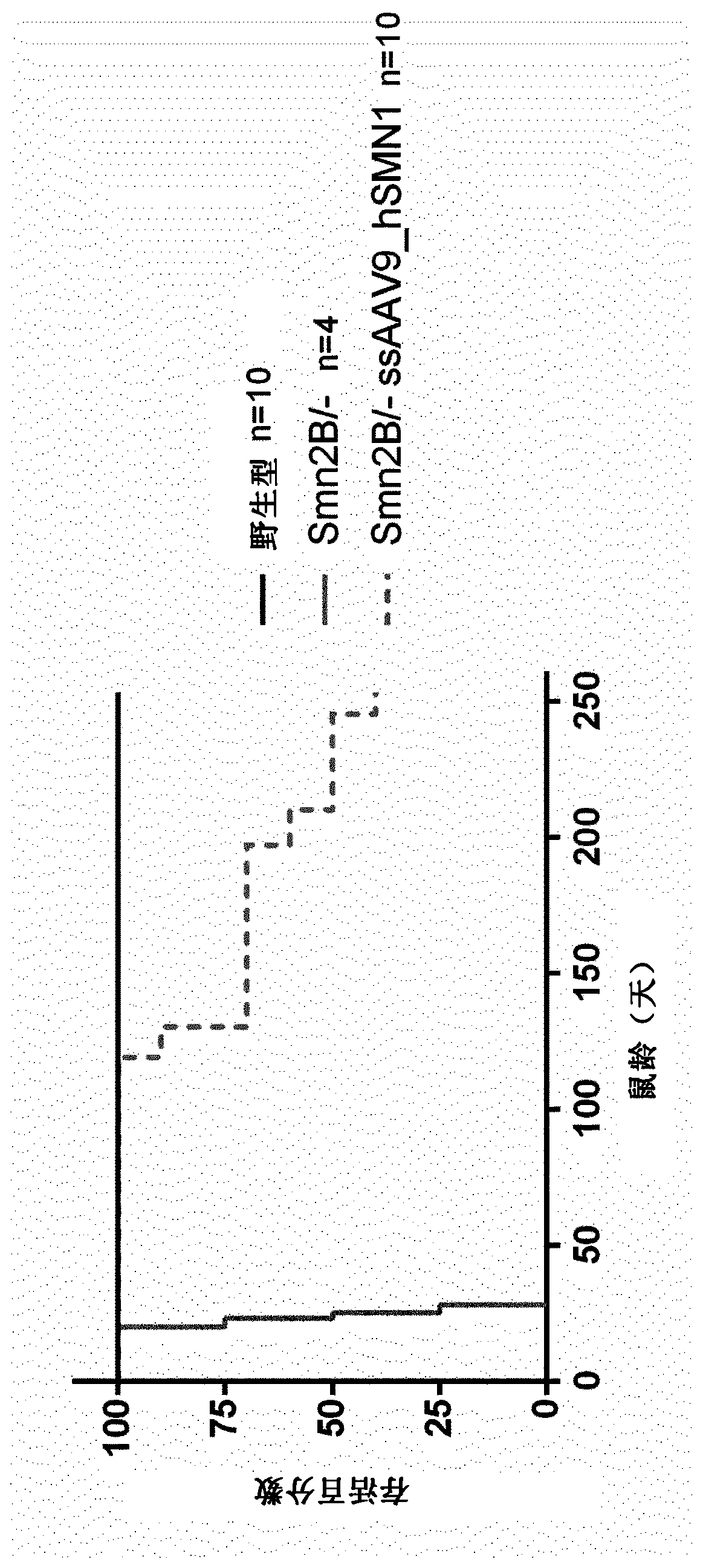 Treatment of spinal muscular atrophy