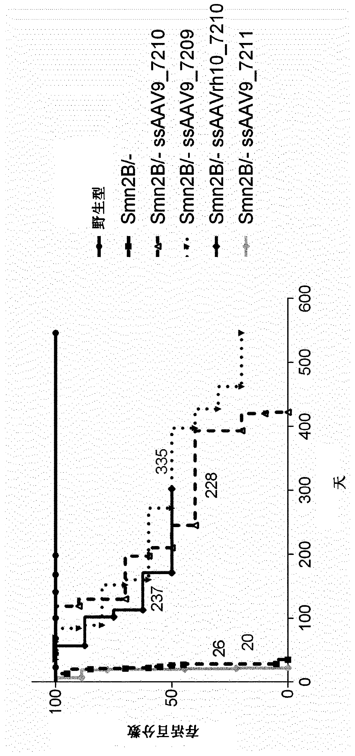 Treatment of spinal muscular atrophy