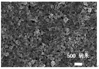 Boron sol and preparation method thereof