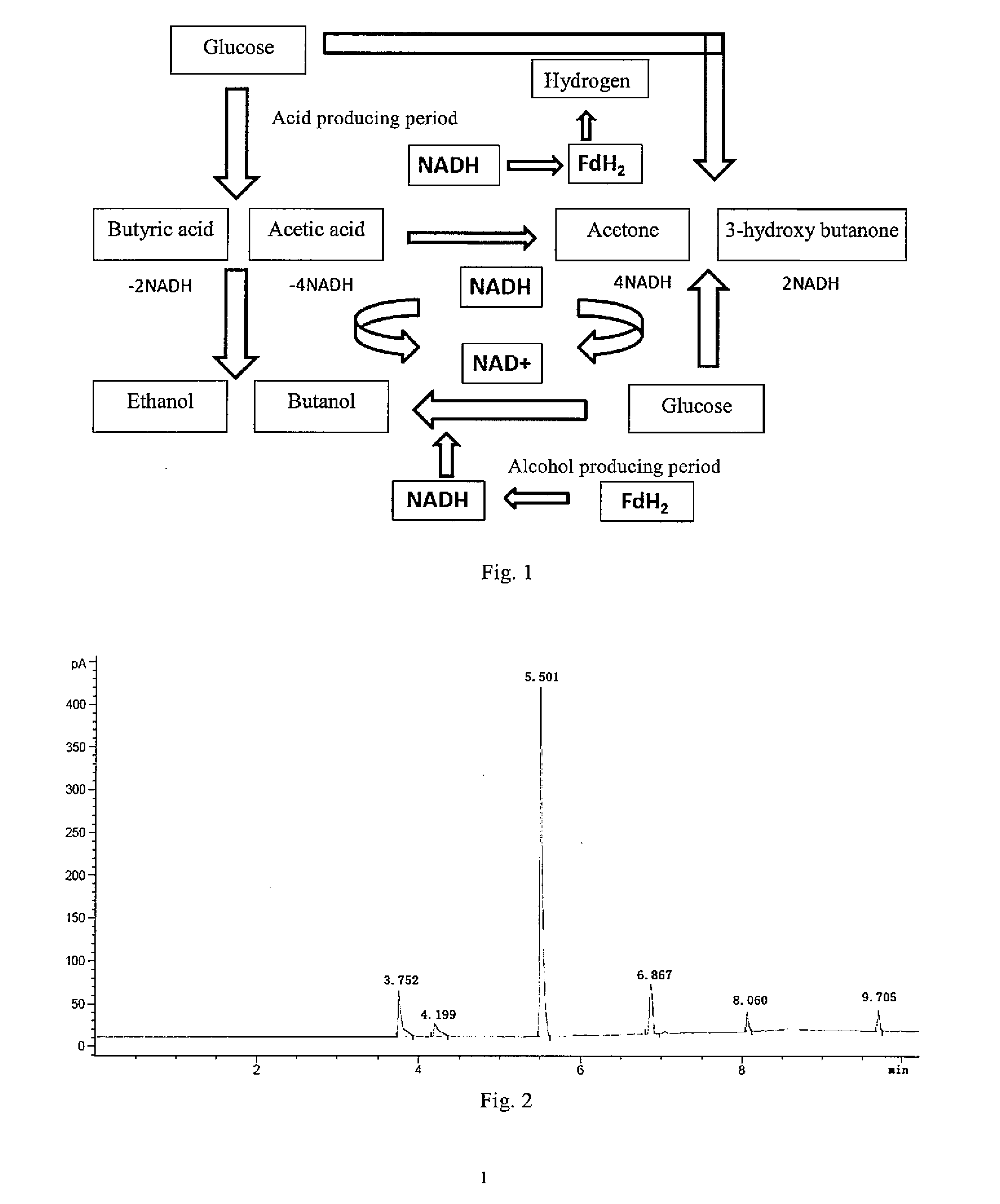 Clostridium acetobutylicum and application thereof