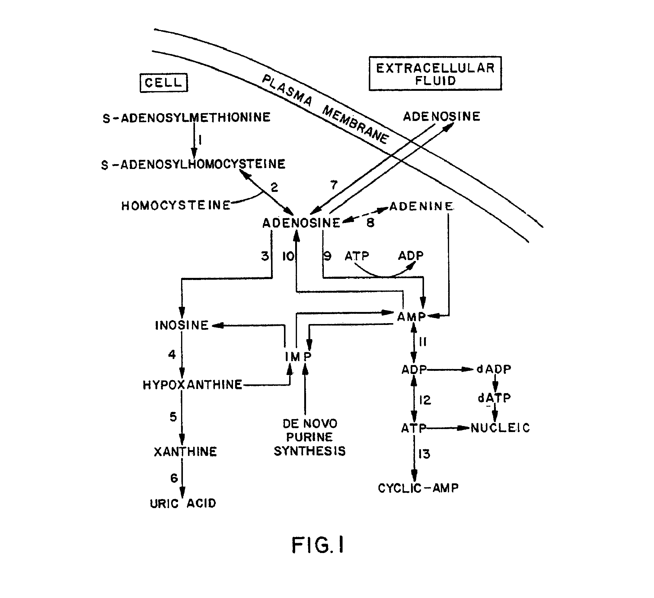 Methods, compositions, and formulations for preventing or reducing adverse effects in a patient