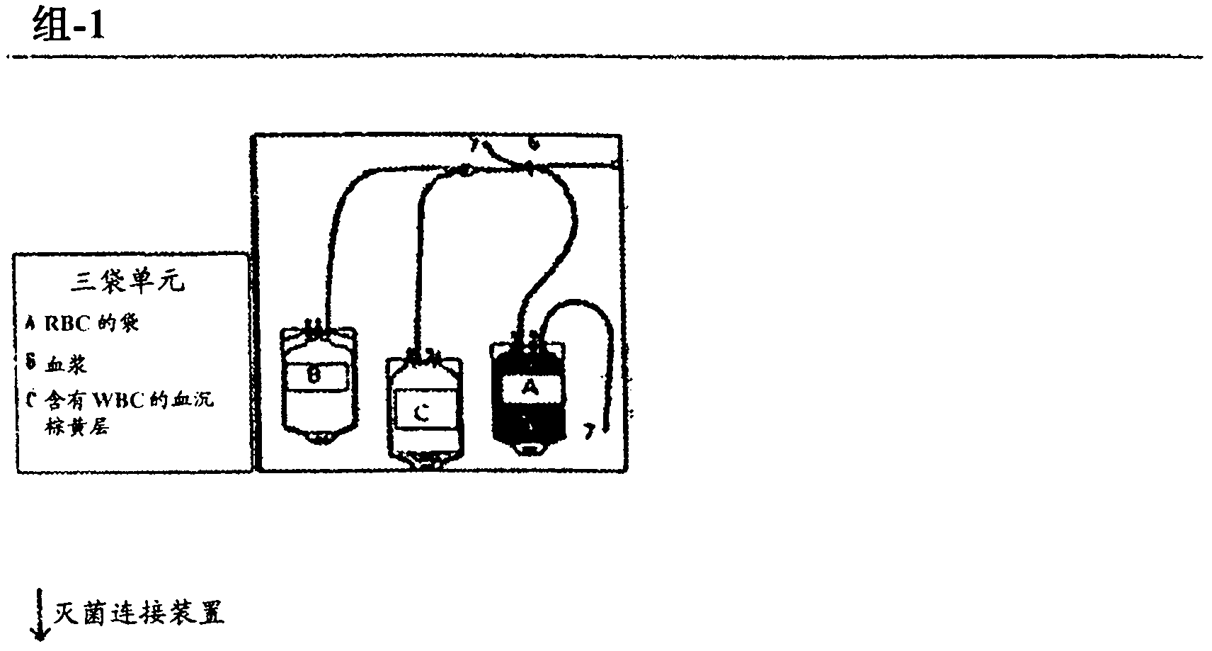 Activated leukocyte composition