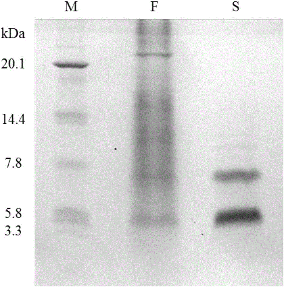 Antibiotic, and preparation method and application thereof