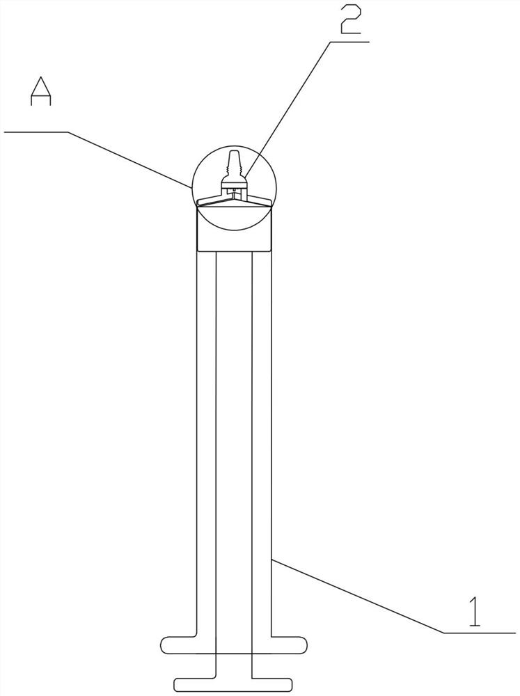 Double-cavity injector capable of being used for ultrasonic guided nerve block