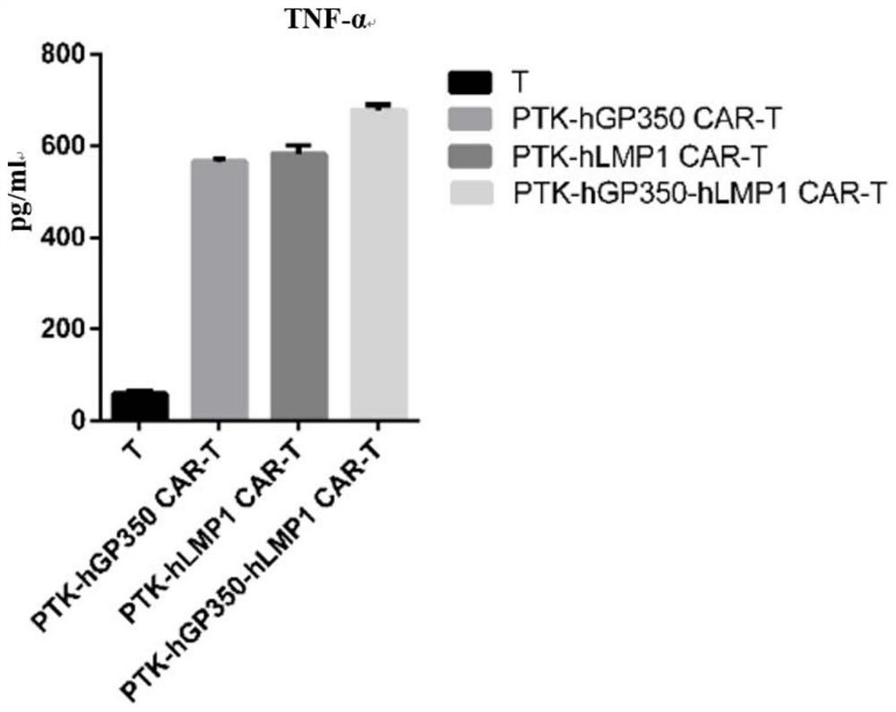 Dual-target chimeric antigen receptors simultaneously targeting lmp1 and gp350 and their applications