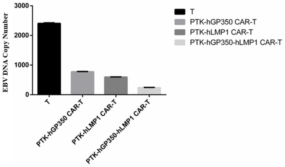 Dual-target chimeric antigen receptors simultaneously targeting lmp1 and gp350 and their applications