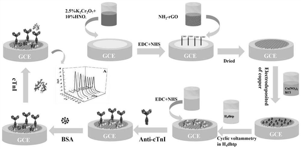 Preparation method of label-free electrochemical sensor for cardiac troponin I and detection method for CTNI