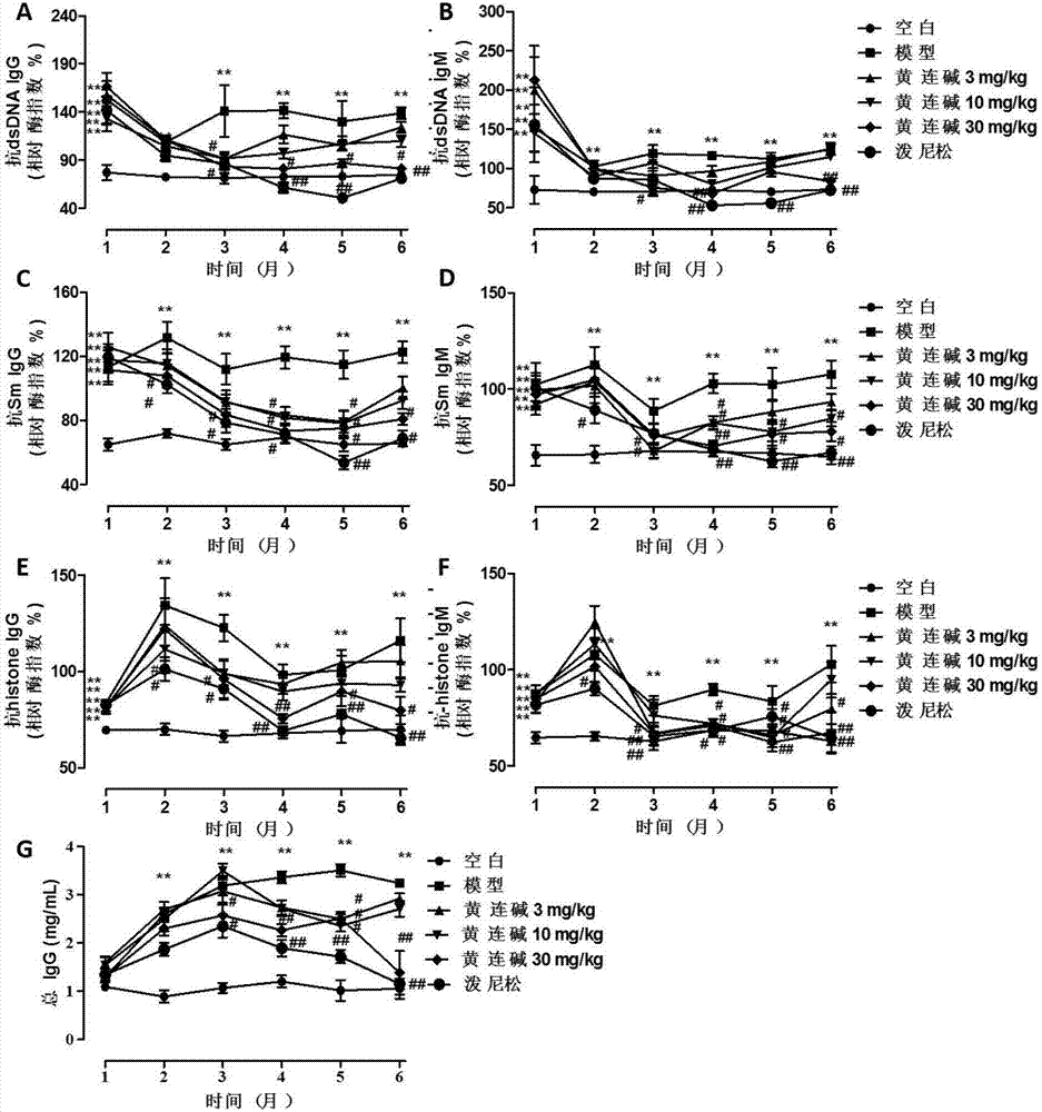 Application of coptisine in preparing medicine for preventing and/or treatingSLE (systemic lupus erythematosus) and complications of SLE