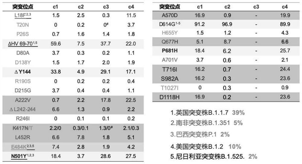 SARS-CoV-2 mutant strain S protein and subunit vaccine thereof