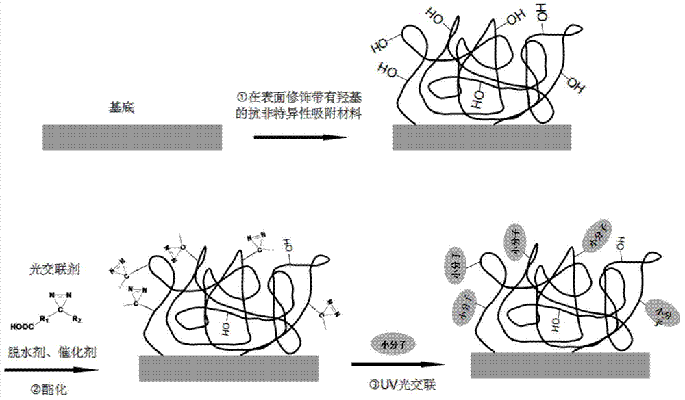 A kind of small molecule microarray and preparation method thereof