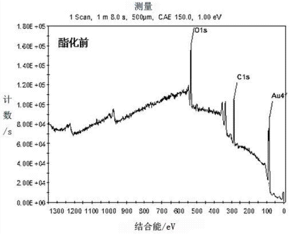 A kind of small molecule microarray and preparation method thereof